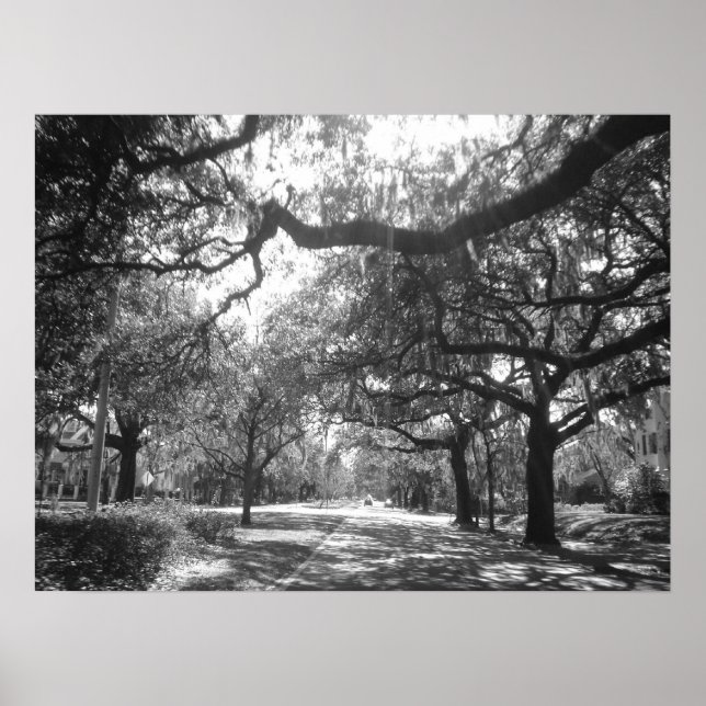 Pôster O Porto da Natureza (Frente)