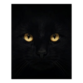 Pôster O Poster brilhante Glossy Cat Negro