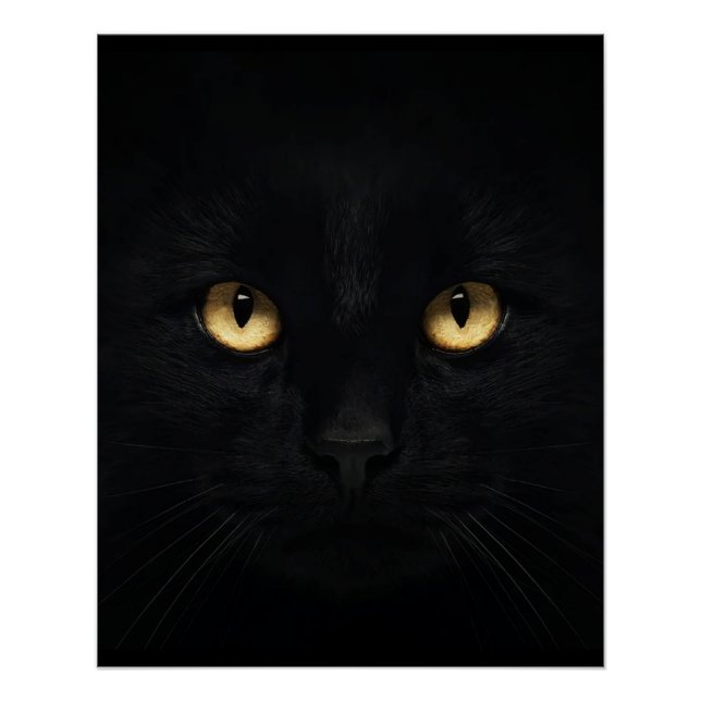 Pôster O Poster brilhante Glossy Cat Negro (Frente)