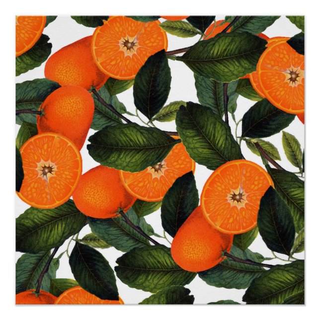 Pôster O poster de laranja proibido 20x20 (Frente)