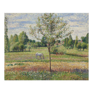 Pôster O Prado com Cavalo Cinza, Eragny, Pintura a Óleo