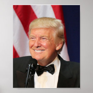 Poster O Presidente Donald Trump Na Sua Inauguração