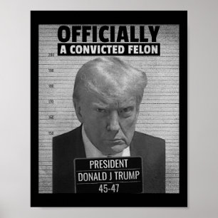 Poster O Presidente Engraçado Trump É Oficialmente Um Fe