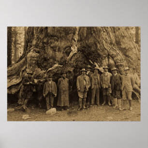 Poster O Presidente Roosevelt e John Muir California Sepi