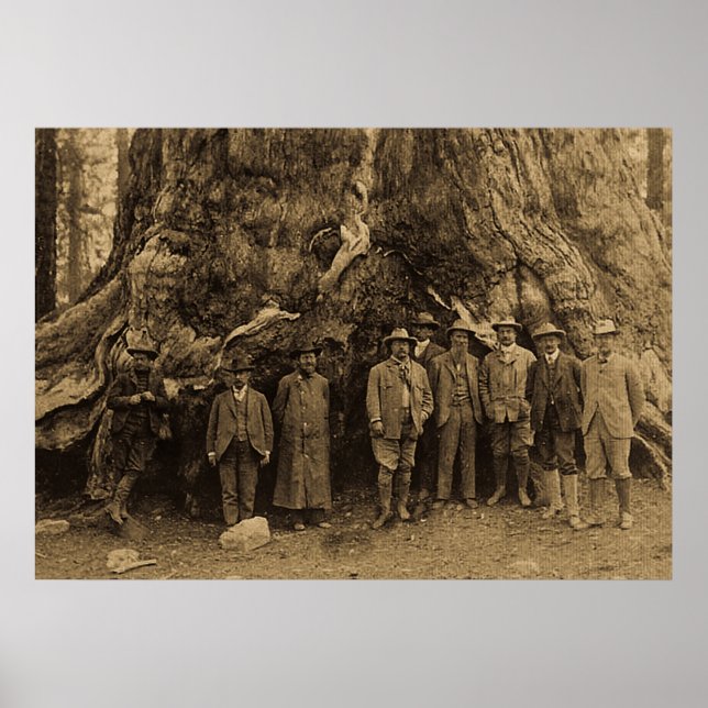 Poster O Presidente Roosevelt e John Muir California Sepi (Frente)