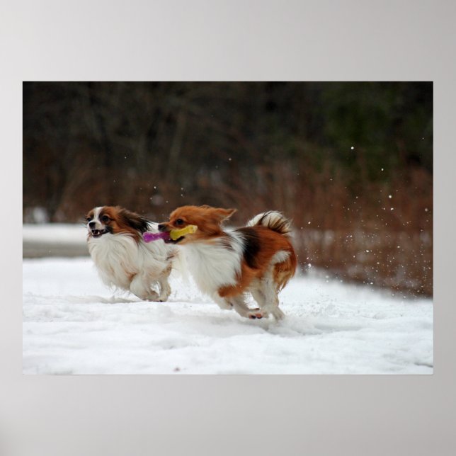 Poster O primeiro dia do inverno de 2012 (Frente)