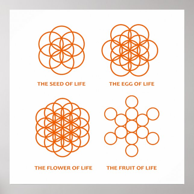 Poster O processo de criação (Frente)