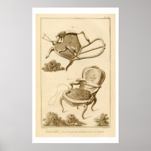 Poster O processo de sustentação de uma cadeira, da "Cena