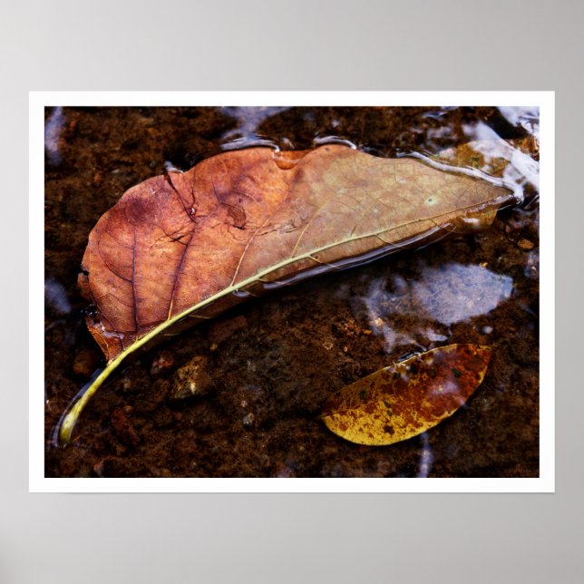 Pôster o prospetor (Frente)