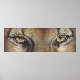 Pôster O puma Eyes #2