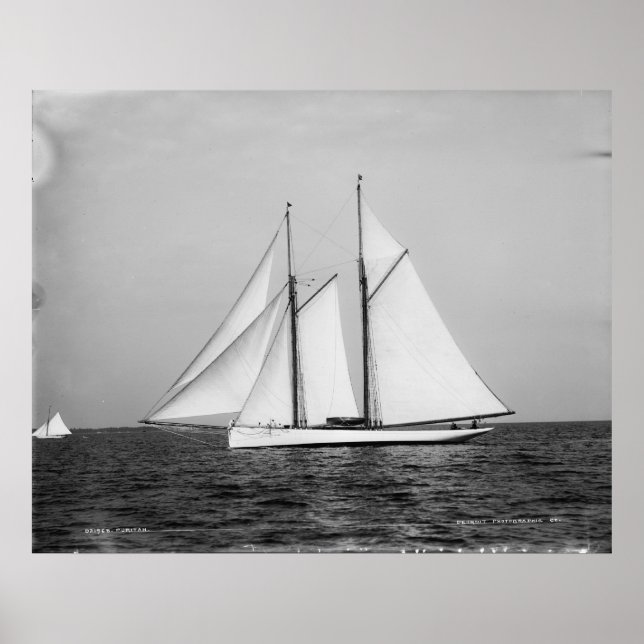 Pôster O Puritano (Frente)