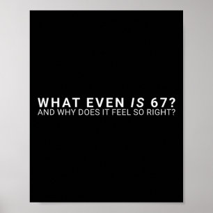 Poster O Que É Mesmo o Meme 67