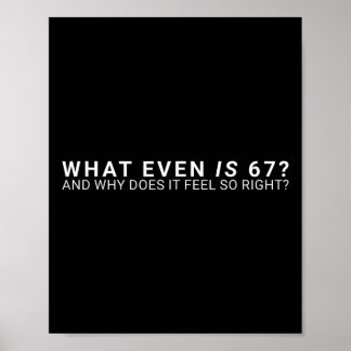 Poster O Que É Mesmo o Meme 67 