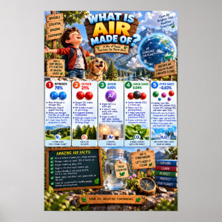 Poster O que é o Ar Constituído Infográfico