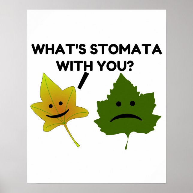 Poster O que é Stomata com você? (Frente)