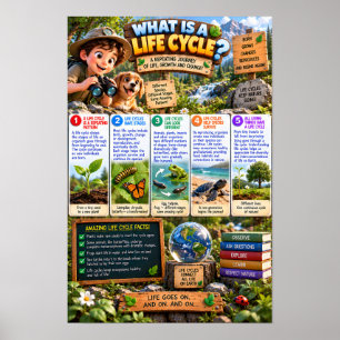 Poster O que É um Infográfico do Ciclo de Vida