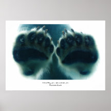 O que eles viram abaixo do gelo