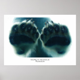 Pôster O que eles viram abaixo do gelo