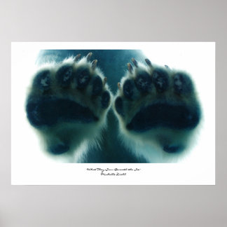 Pôster O que eles viram abaixo do gelo