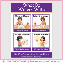 Poster O Que Escritores Escrevem Gráfico de Âncora de Sal