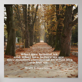 Pôster "O que está dentro de nós"