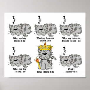 Poster O Que O Gato Acha Engraçado