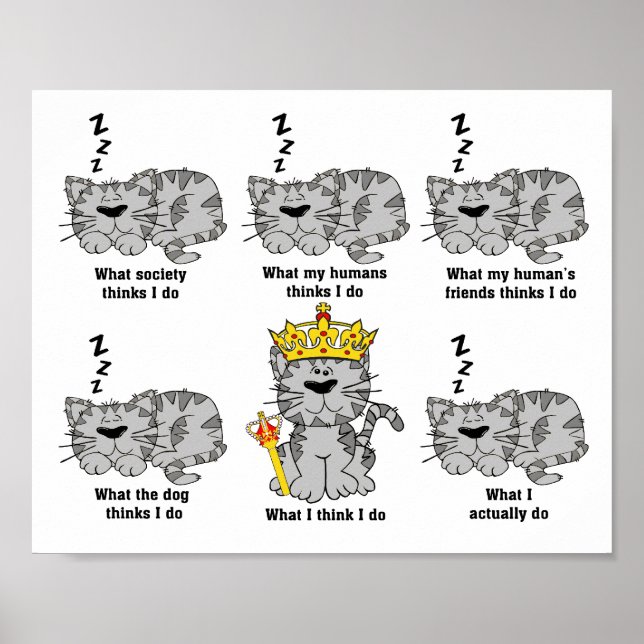 Poster O Que O Gato Acha Engraçado (Frente)