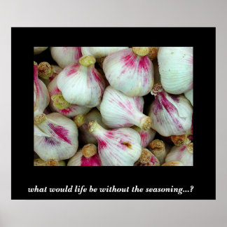 Pôster O que seria a vida?..