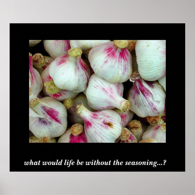 Pôster O que seria a vida?.. (Frente)