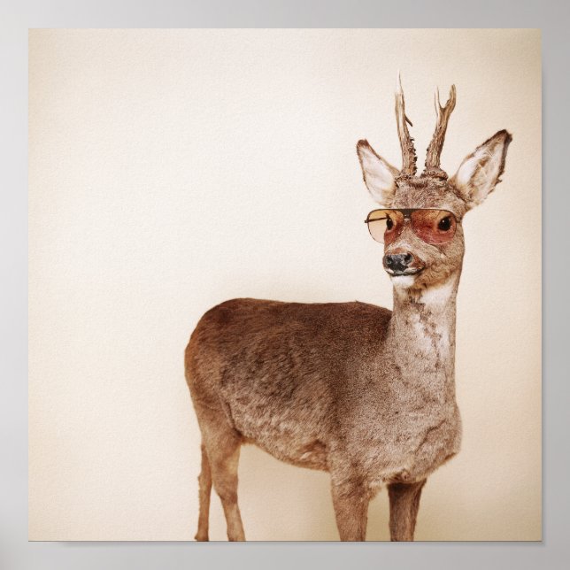 Pôster O que você está olhando? (Frente)