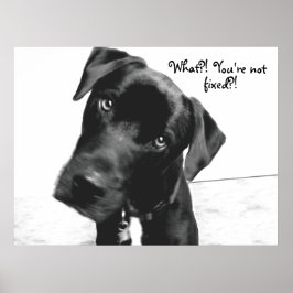 Pôster O quê? Você não está, consertado?