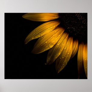 Poster O quintal floresce o girassol 28