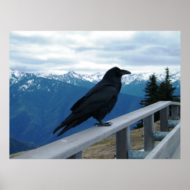 Pôster O Raven (Frente)