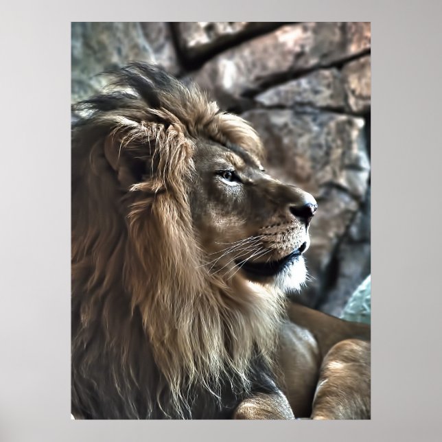 Pôster O Rei (Frente)