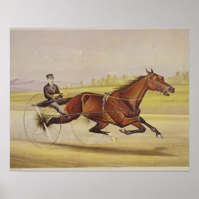 Pôster O Rei do Turf, Rua. Julien', Dirigida por Orri (Frente)