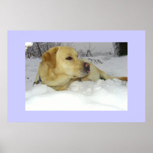 Pôster O rei na neve - cena do inverno de Labrador