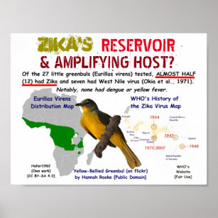 Pôster O reservatório e a ampliação do host da Zika por R