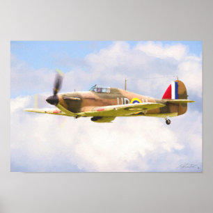 Poster O retorno do furacão