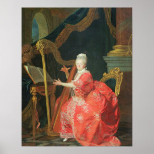 Poster O retrato de uma senhora, disse ser senhora