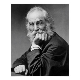 Pôster O retrato essencial de Walt Whitman, envelhece 50