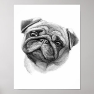 Poster O Retrato Pug Cara de Cachorro