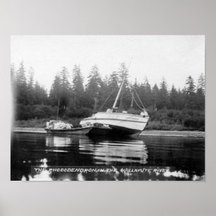 Poster O Rhododendron no Rio Quillayute