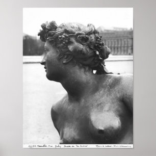 Pôster O rio Saone, do Parterre