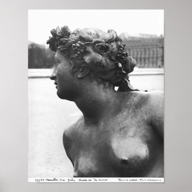 Pôster O rio Saone, do Parterre (Frente)