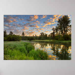 Poster O rio Whitefish com belas nuvens ao nascer do sol