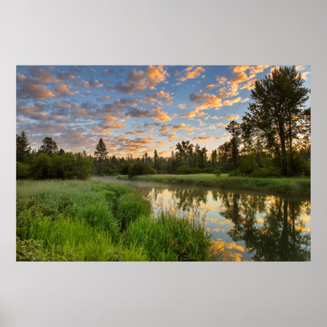 Poster O rio Whitefish com belas nuvens ao nascer do sol (Frente)