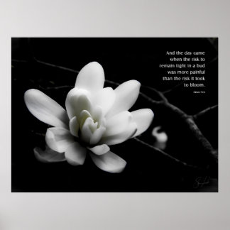 Poster O Risco de Bloom