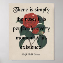 O ROSA