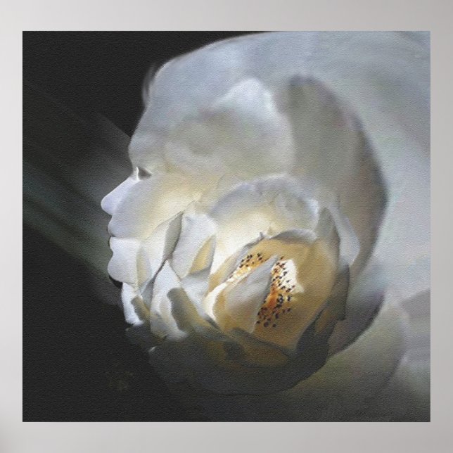 POSTER O ROSA (Frente)