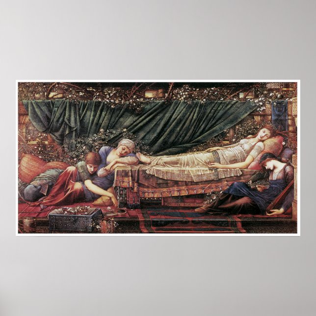 Pôster O Rosa Briar: O Rosa (Frente)